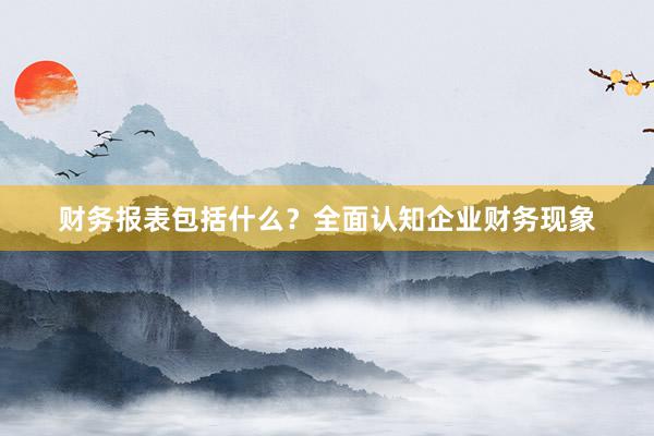 财务报表包括什么？全面认知企业财务现象