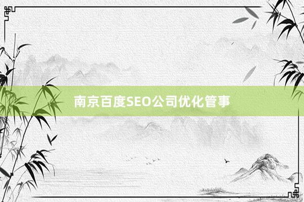 南京百度SEO公司优化管事
